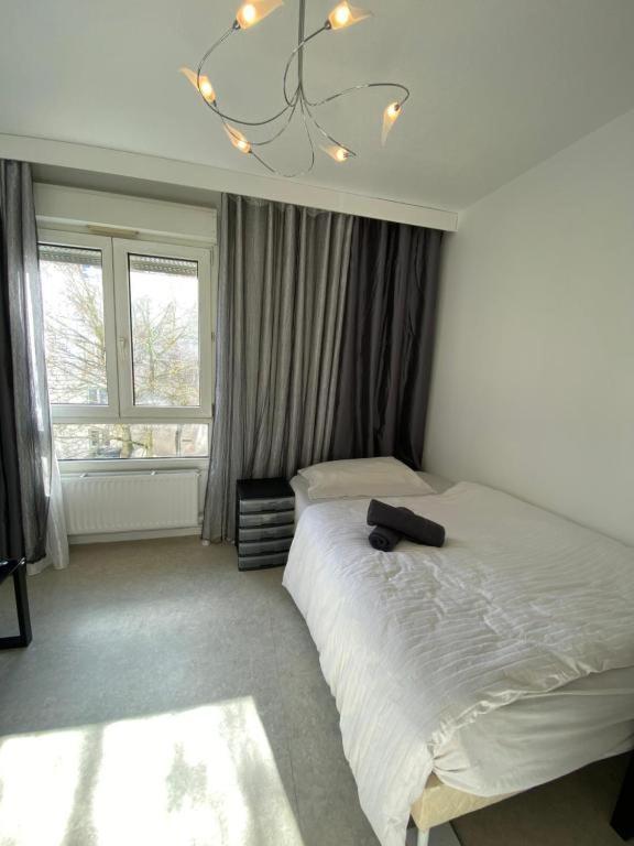 Nancy Hyper Centre, Chambre Prive Chez L'Habitant En Colocation מראה חיצוני תמונה