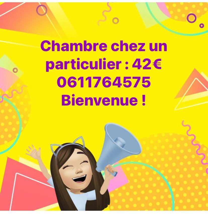 Nancy Hyper Centre, Chambre Prive Chez L'Habitant En Colocation מראה חיצוני תמונה